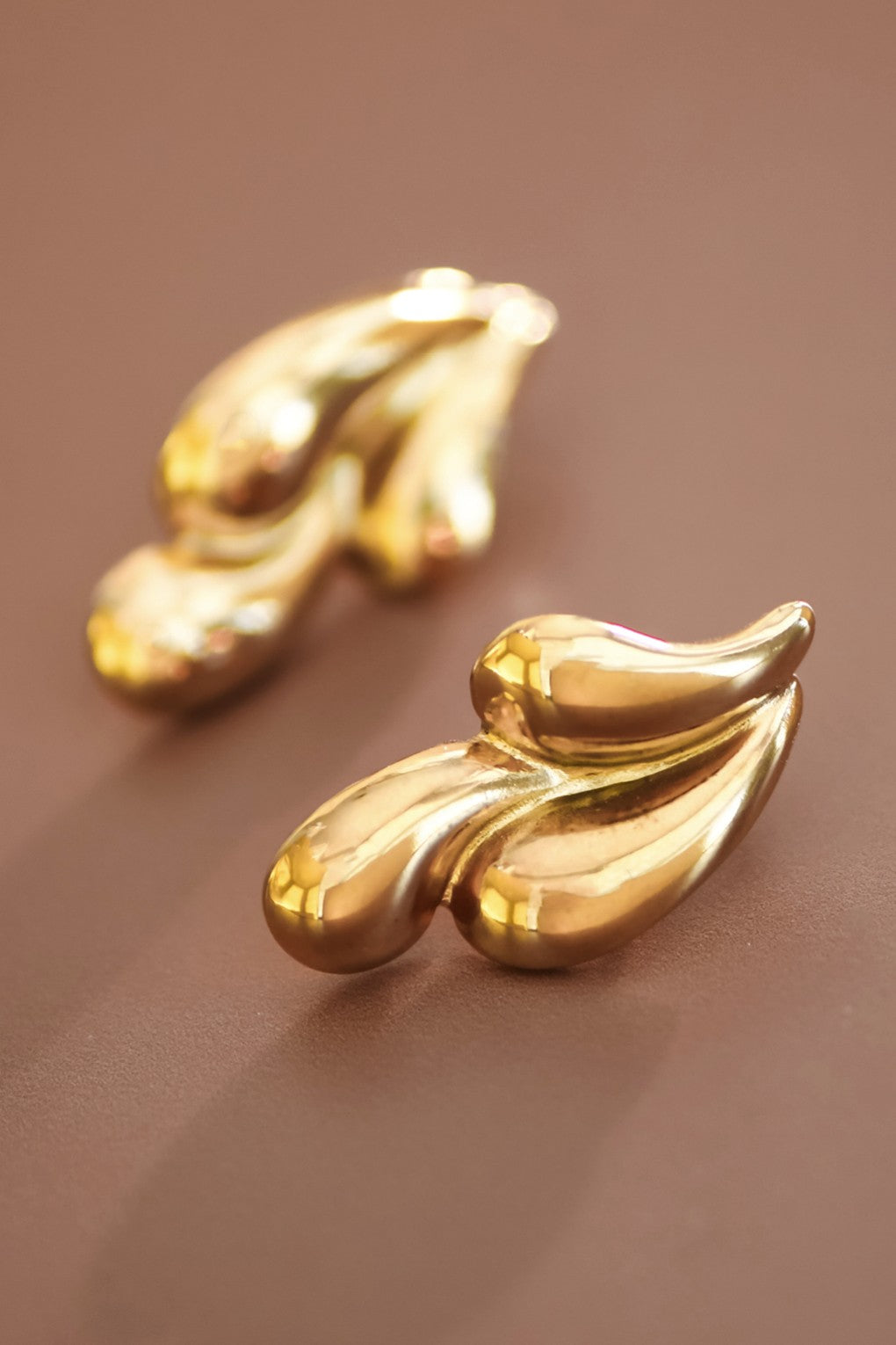 Stainless Steel Earrings