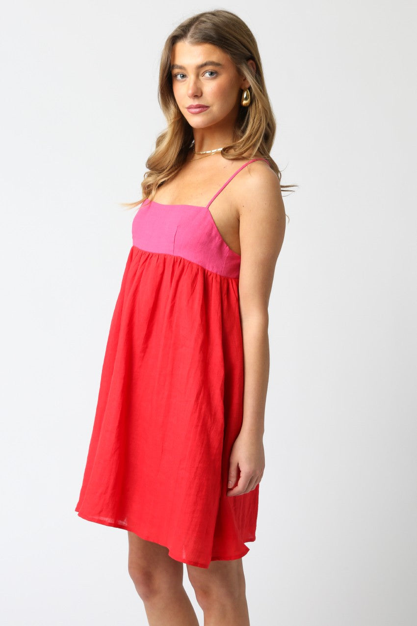 Priselia Mini Dress