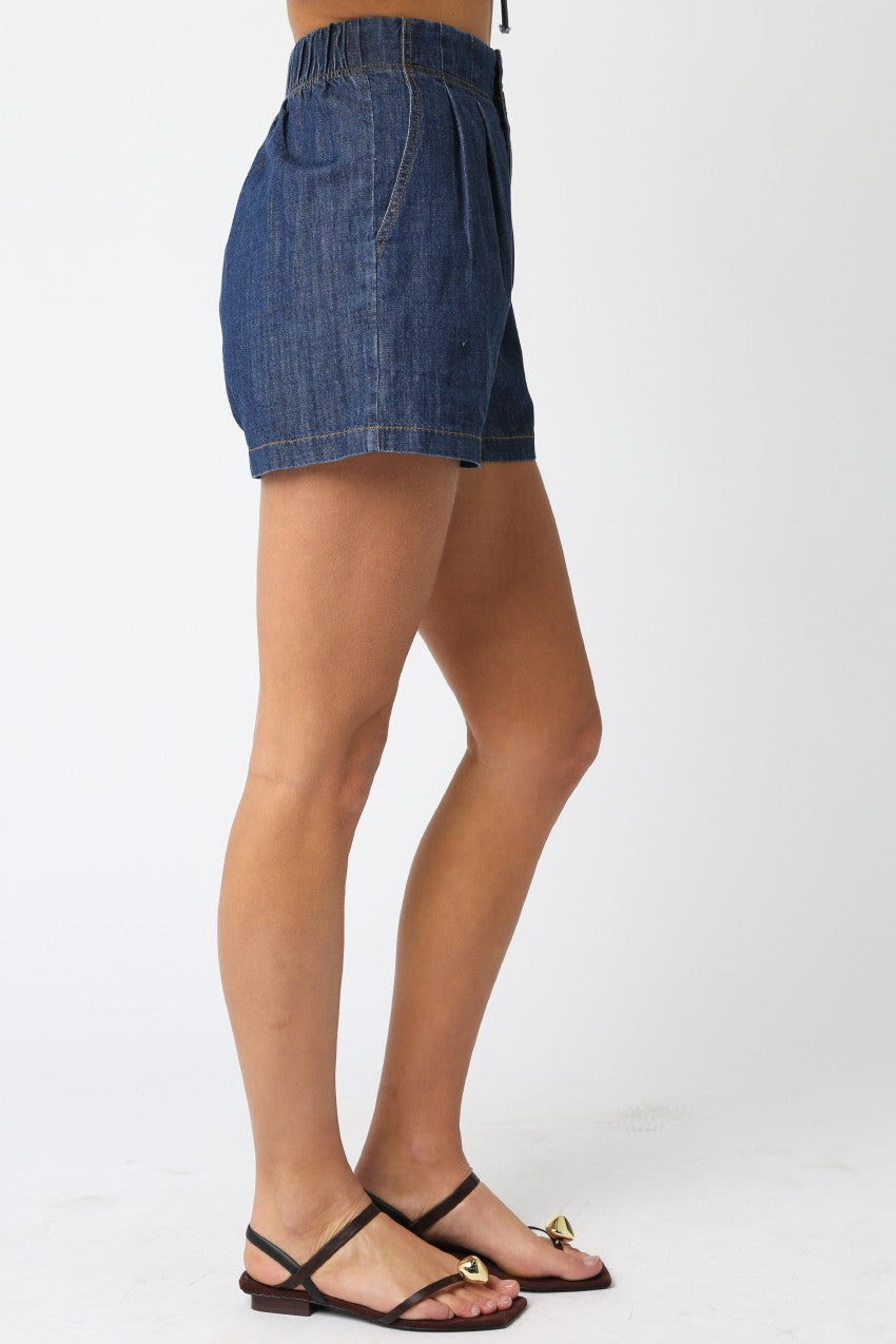 Julissa Denim Shorts