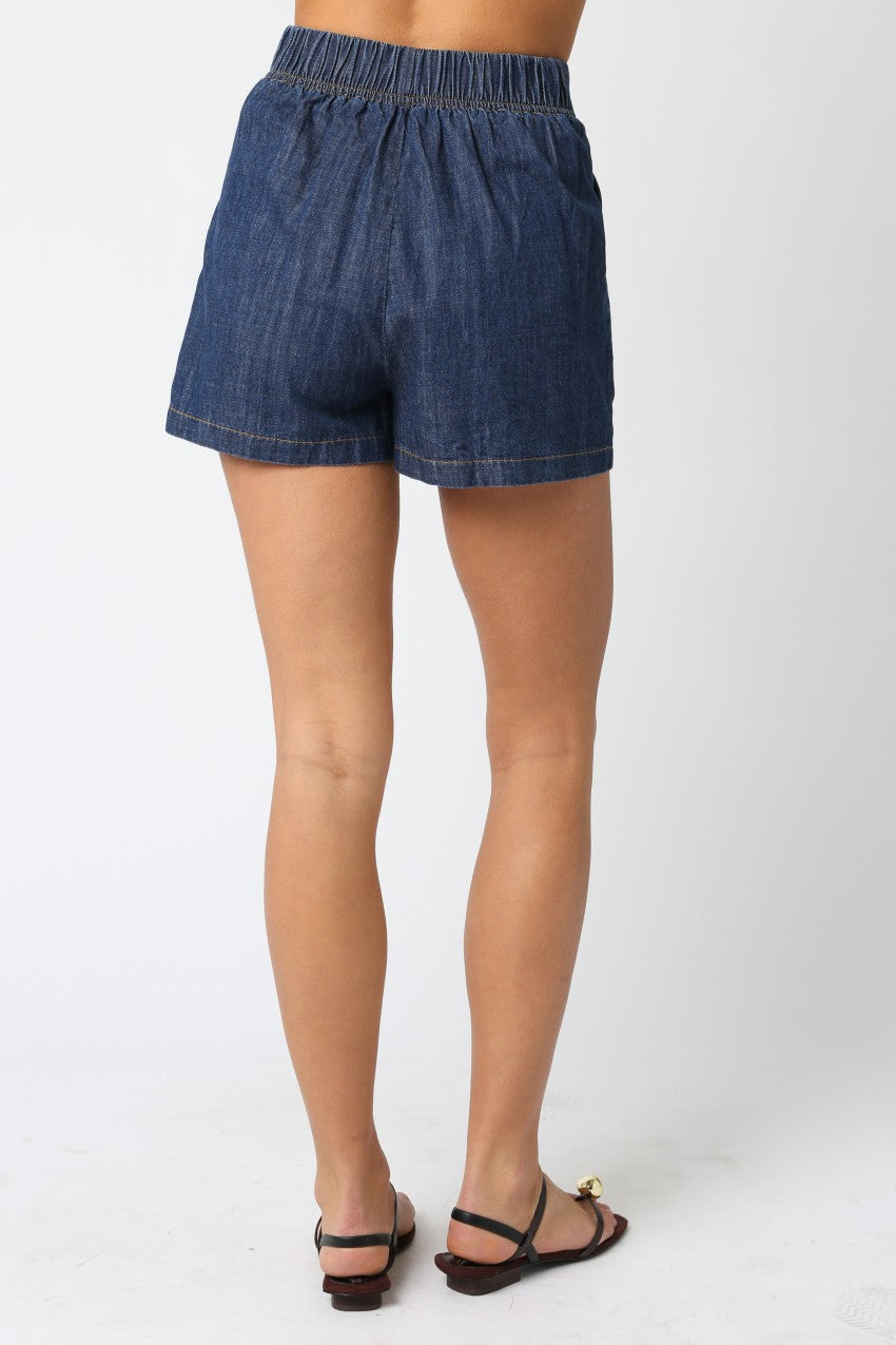 Julissa Denim Shorts