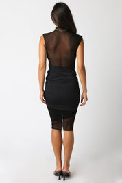 Aleah Mesh Dress