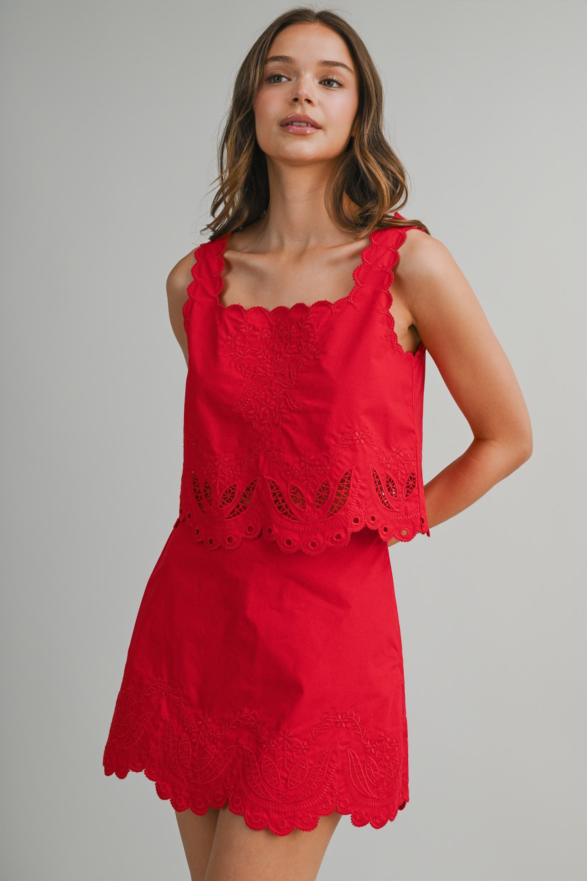 Red Embroidered Sleeveless Crop Top And Mini Skirt Set