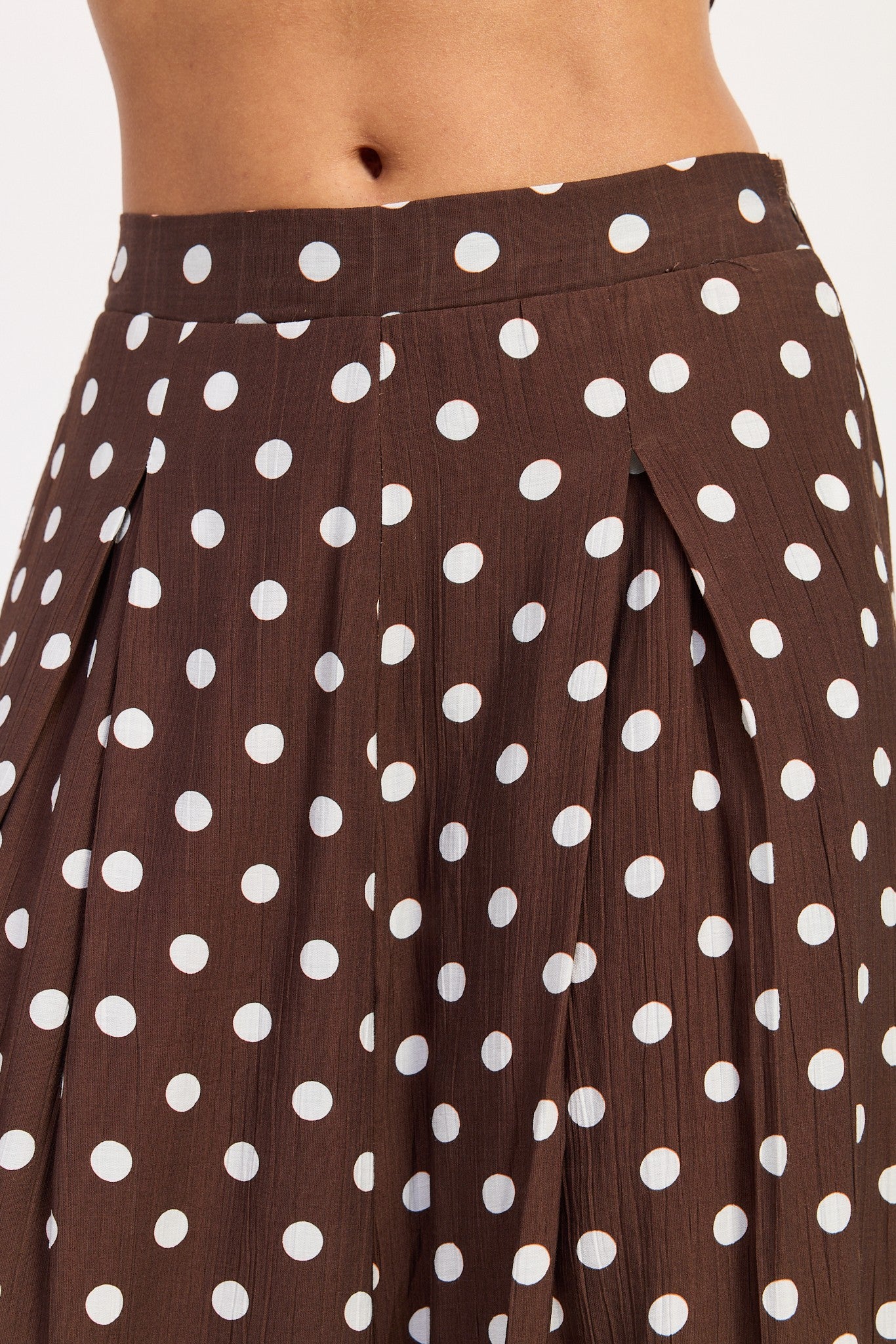Polka Dot Wide Pants With Front Pleats