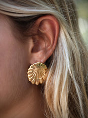 ELEDÉ La Pared Shell Studs