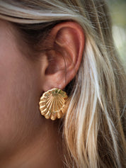 ELEDÉ La Pared Shell Studs