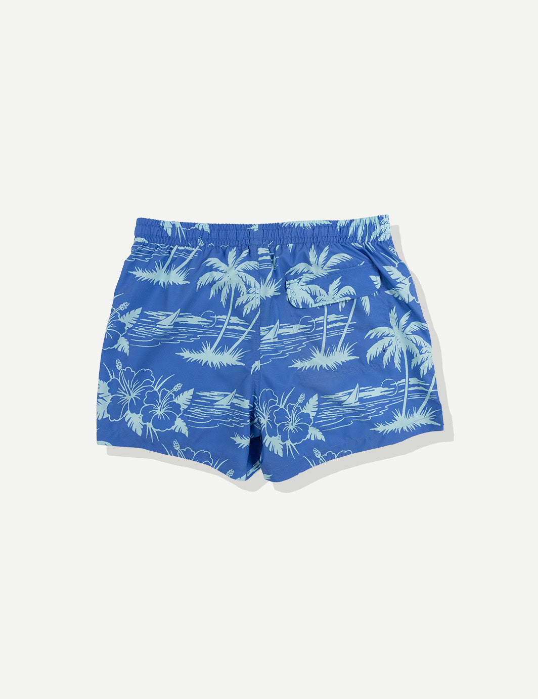 Duvin Breeze Swim Short - Blue